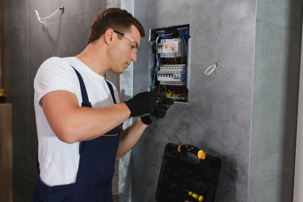 Best Licensed Electrician  in Valmeyer, IL